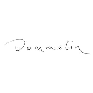 dommelin-logo-pierre-lommen-roermond