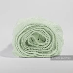 bella donna hoeslaken kleur mint