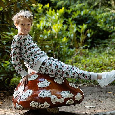 jongetje in efteling kleding op paddestoel