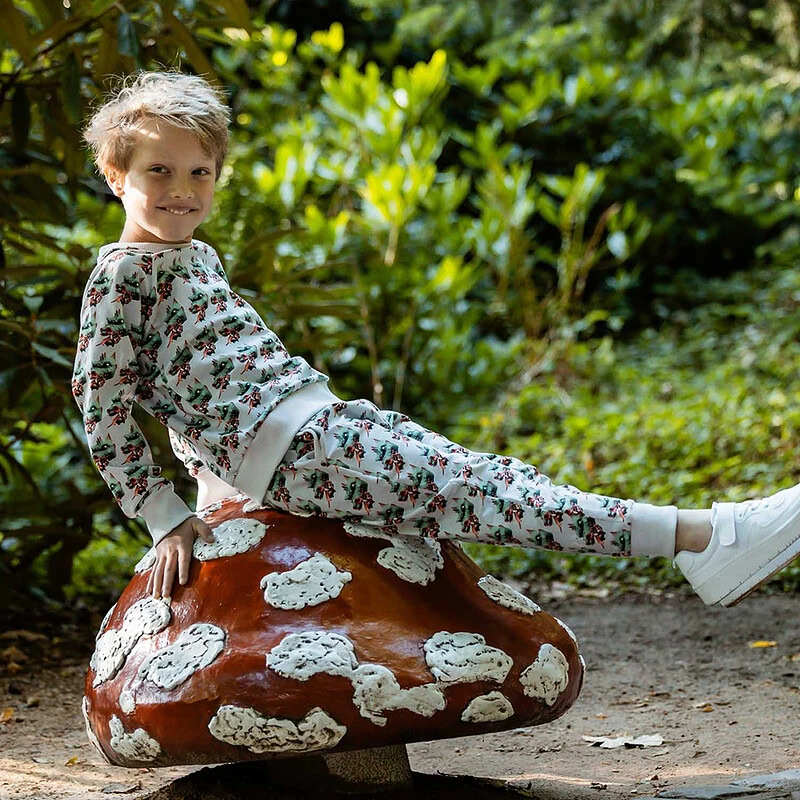 jongetje in efteling kleding op paddestoel